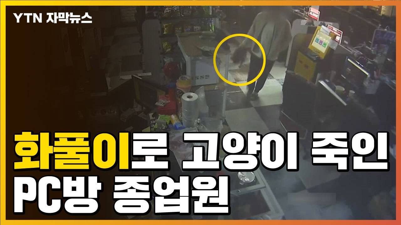 [자막뉴스] "여자 친구와 헤어져서" 고양이 죽인 PC방 종업원 / YTN