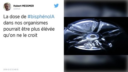 La dangerosité du Bisphénol A est sous-estimée, son taux serait 40 fois plus élevé dans nos organismes