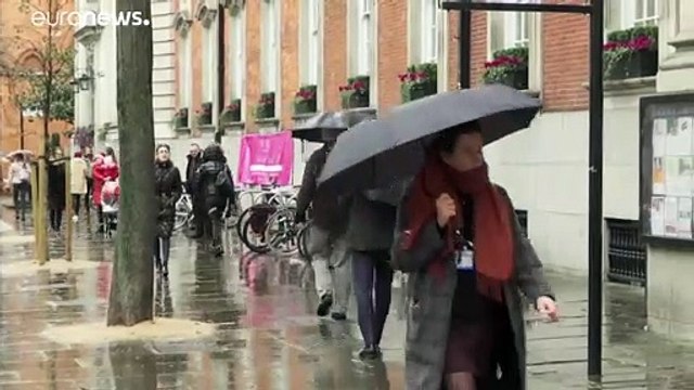 I britannici al voto, con i loro animali da compagnia