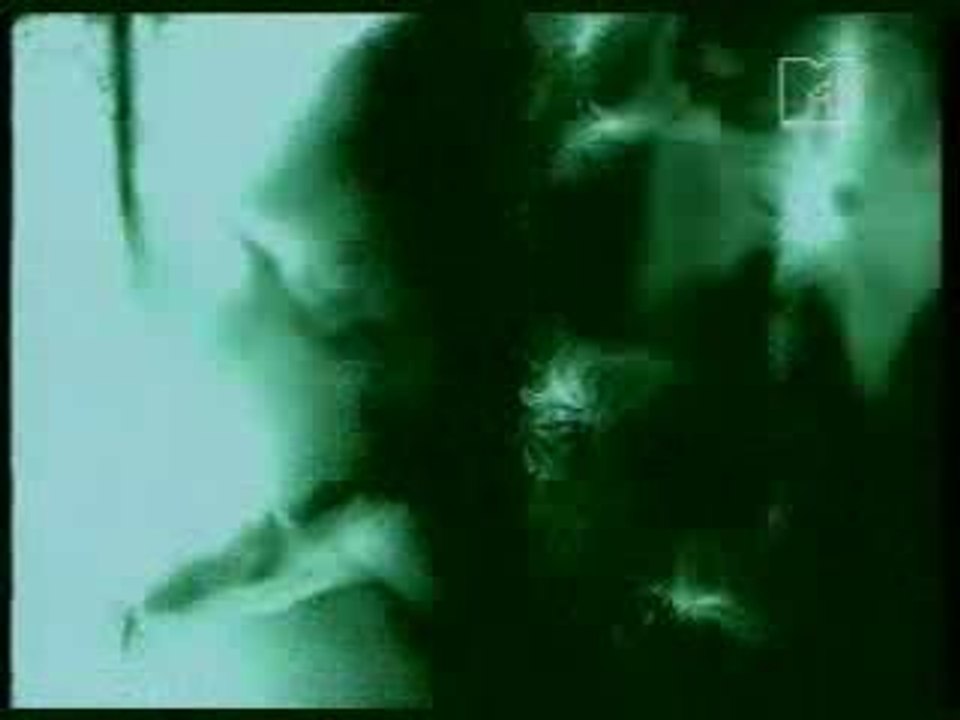 Jan Jelinek - do_dekor_elector