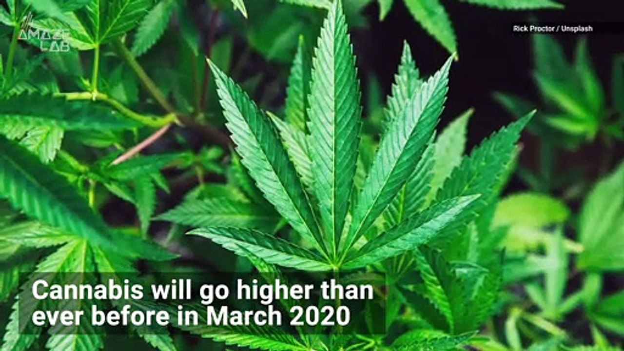SpaceX is Sending Cannabis to the Space Station...
