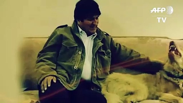 Gobierno de Fernández recibe y dará refugio a Evo Morales en Argentina