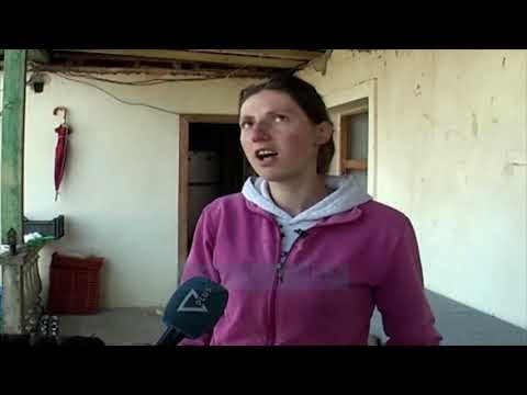 Floqi “harron” termetin - News, Lajme - Vizion Plus