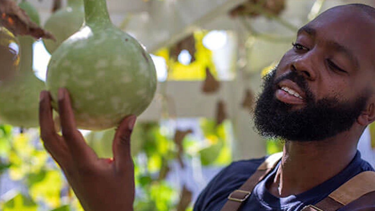 Brooklyn Community Turned This Abandoned Lot Into A Beautiful Garden
