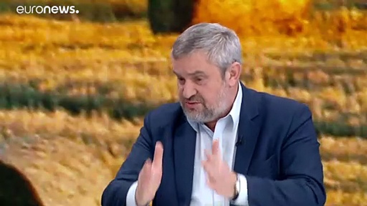 Schweinepest: Schießt die polnische Armee künftig Wildschweine ab?