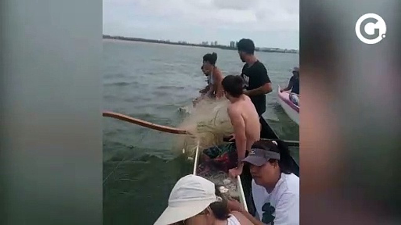 Tartarugas são encontradas na praia de Camburi