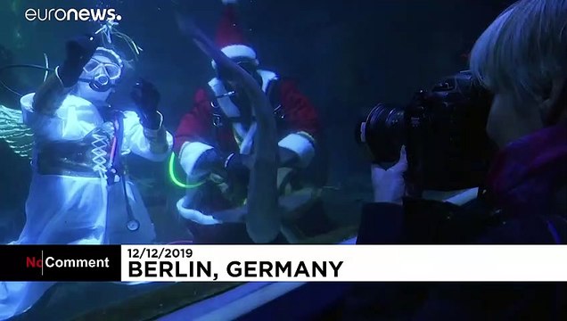 Santa Claus moves from North Pole to Berlin aquarium