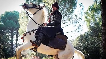 أخيراً ارطغرل يعود من قونيا الى قبيلة الكايي التصريح الرسمي الفاصل نهائياً