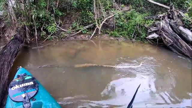 Ces pecheurs croisent un énorme anaconda