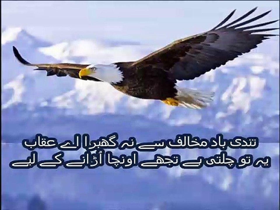 Basic math in Urdu for kids grade 5, L 19, Review exercise