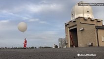 A surprise visitor helps out meteorologists