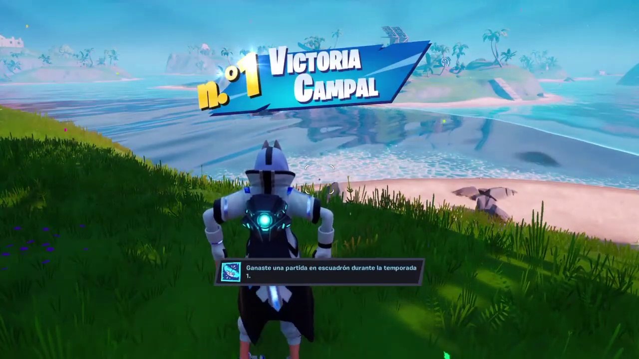 FINAL SOLO VS SQUADS || 20 KILLS || FORTNITE