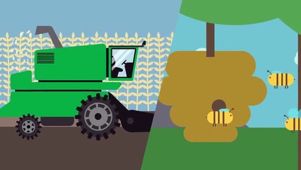 Benedict T. Palen, Jr - The Pros and Cons of Organic Farming