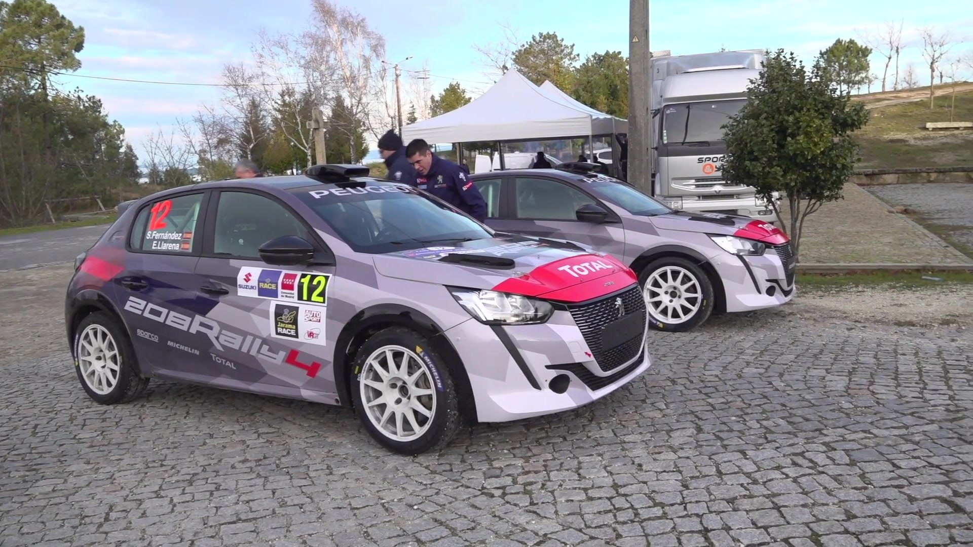 Peugeot 208 Rally 4 Design Video Dailymotion