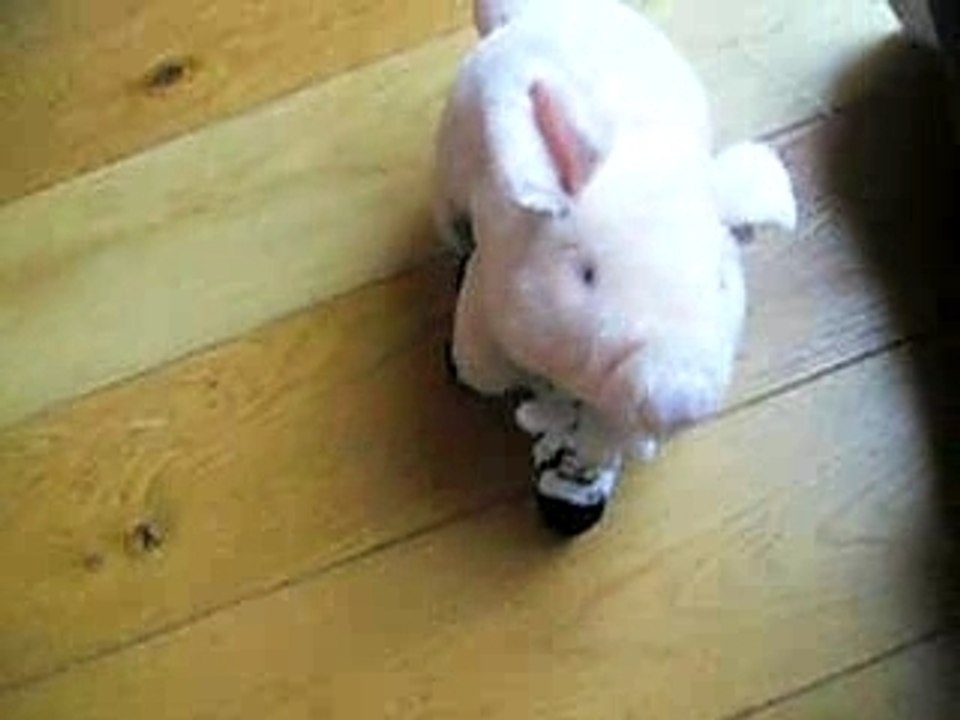 vive les cochons pervers..
