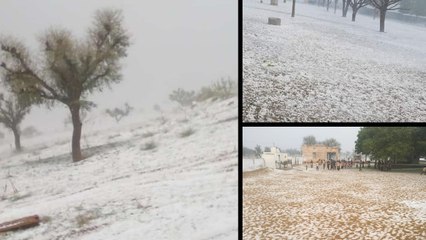 राजस्थान मौसम : ओलावृष्टि के बाद कश्मीर की वादियों जैसी नजर आई धोरों की धरती