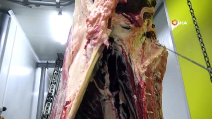 "Biz Yemek İhtiyacımızı Canan Karatay, Hocanın Zevkine Göre Seçmek Zorunda Değiliz"