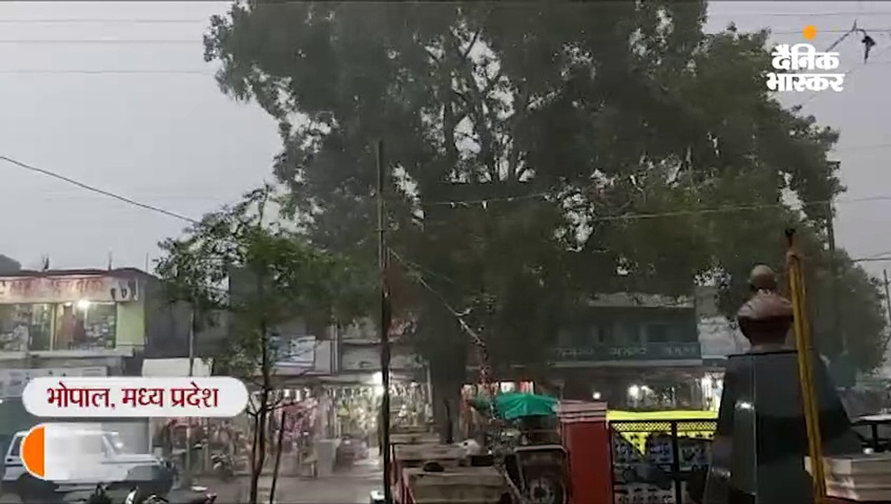 रायसेन में बिजली गिरने से किसान की मौत; भोपाल में सुबह विजिबिलिटी घटकर 500 मीटर रह गई 