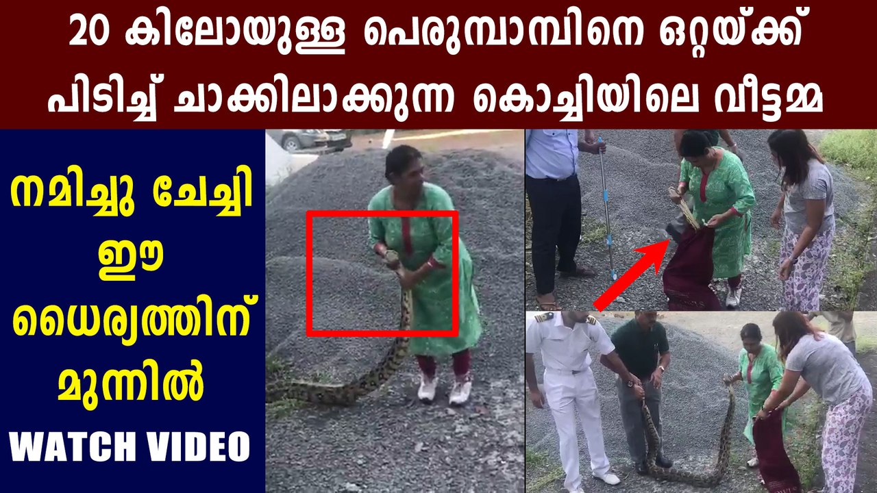 Viral video of vidya raju catching sn@ke | Boldsky Malayalam