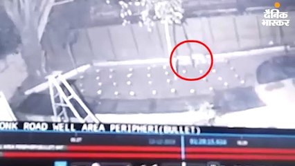 21 घंटे बाद लाल कोठी इलाके से पकड़ा गया पैंथर