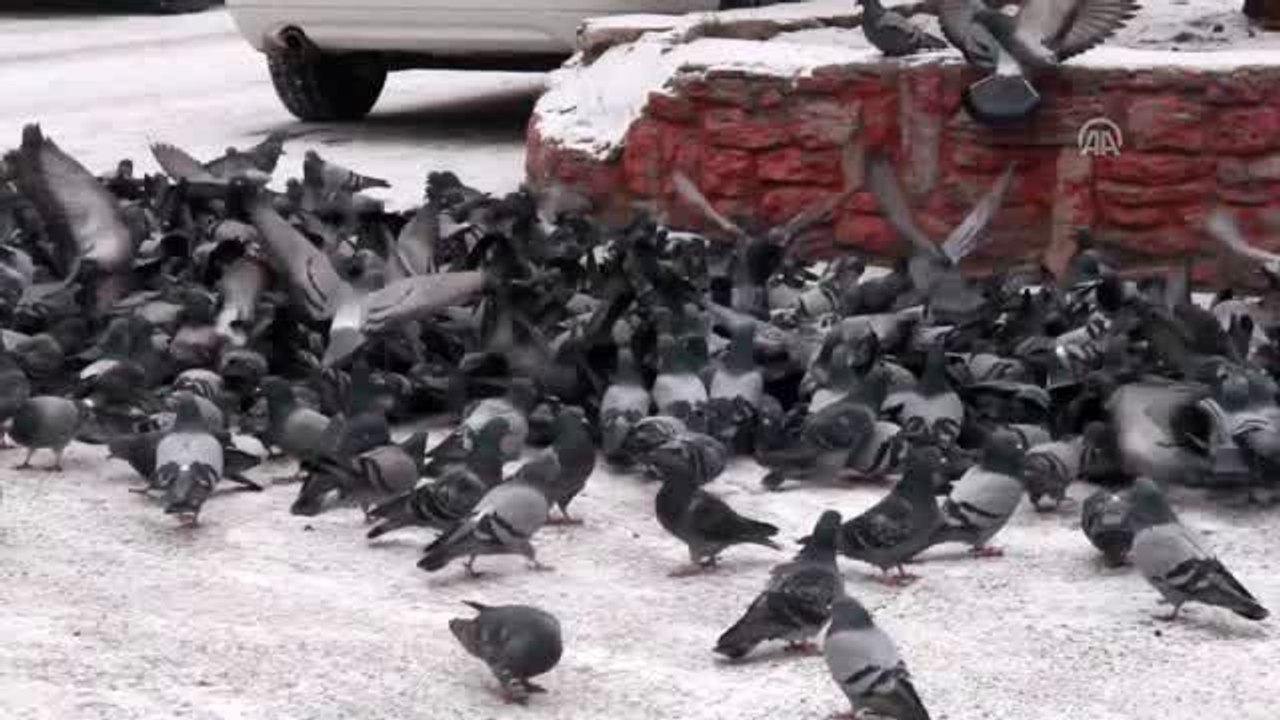 Kar yağışının ardından beyaza büründü - KARS