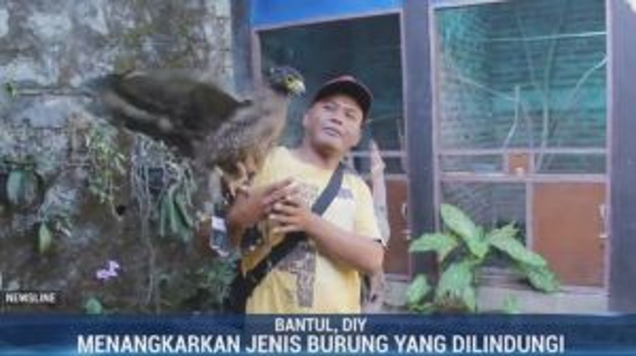 Upaya Pemuda Bantul Menjaga Kelestarian Burung