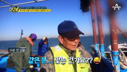 ♨축구장 14배 크기♨ 주워 담으면 땡?! 무한리필 자연산 굴 창고!