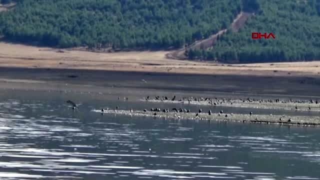 Gaziantep baraj suyu çekildi, tarihi köprünün ayakları ortaya çıktı