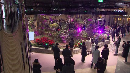 [서울] 지상 햇빛 지하로 전송...종각역 '태양의 정원' 조성 / YTN