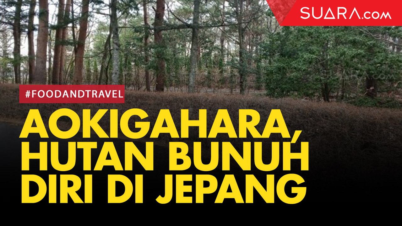 Aokigahara, Hutan Bunuh Diri yang Populer di Jepang