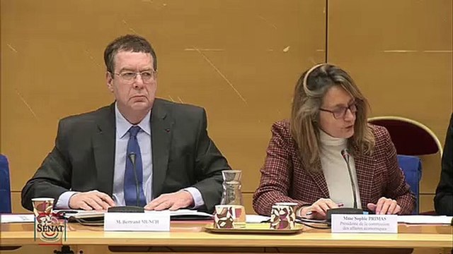 Office National des Forêts: Roland Courteau auditionne Bertrand MUNCH sur les perspectives de l'ONF