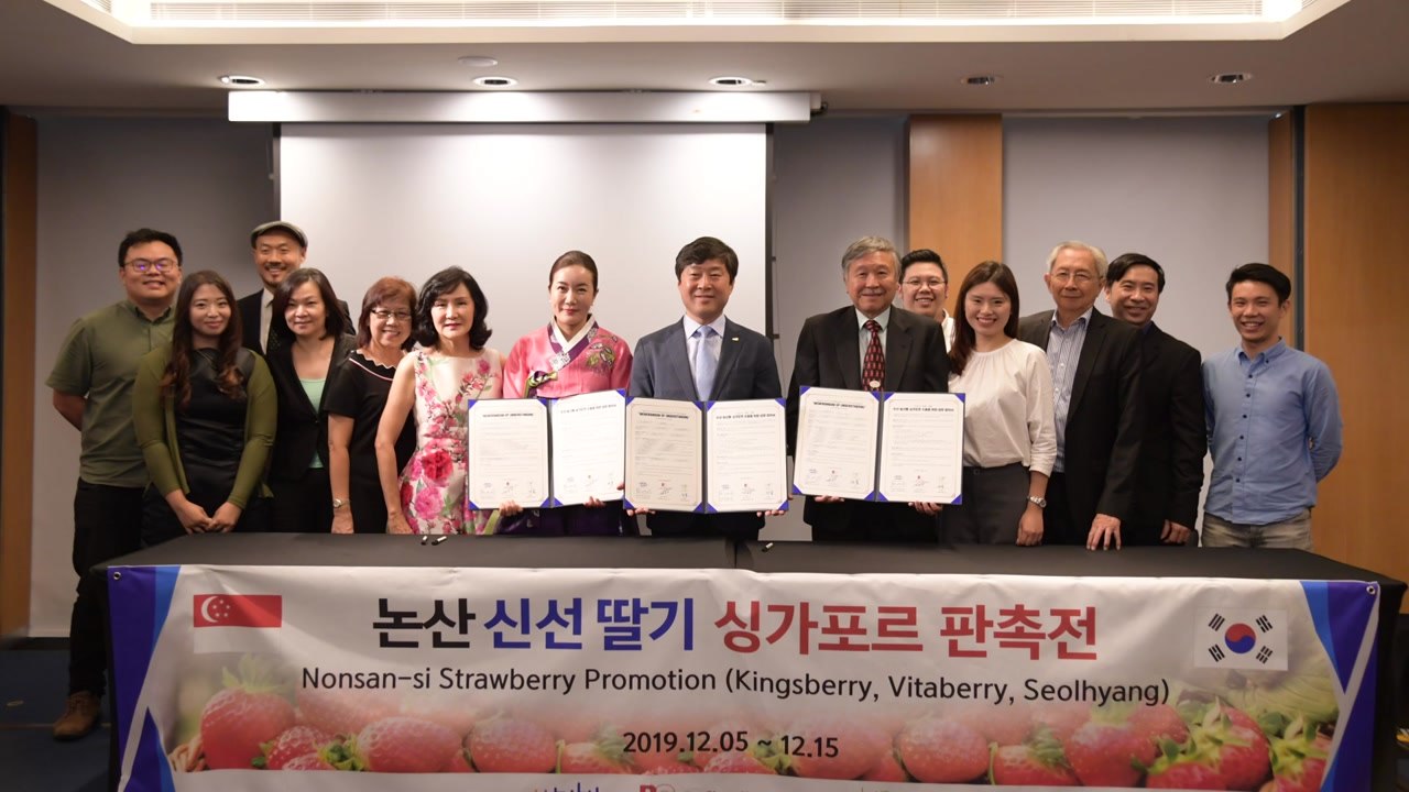 [대전/대덕] 논산 딸기, 싱가포르·베트남에도 수출 / YTN
