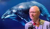 Interview du Professeur Jean-Pascal van Ypersele lors de la COP25
