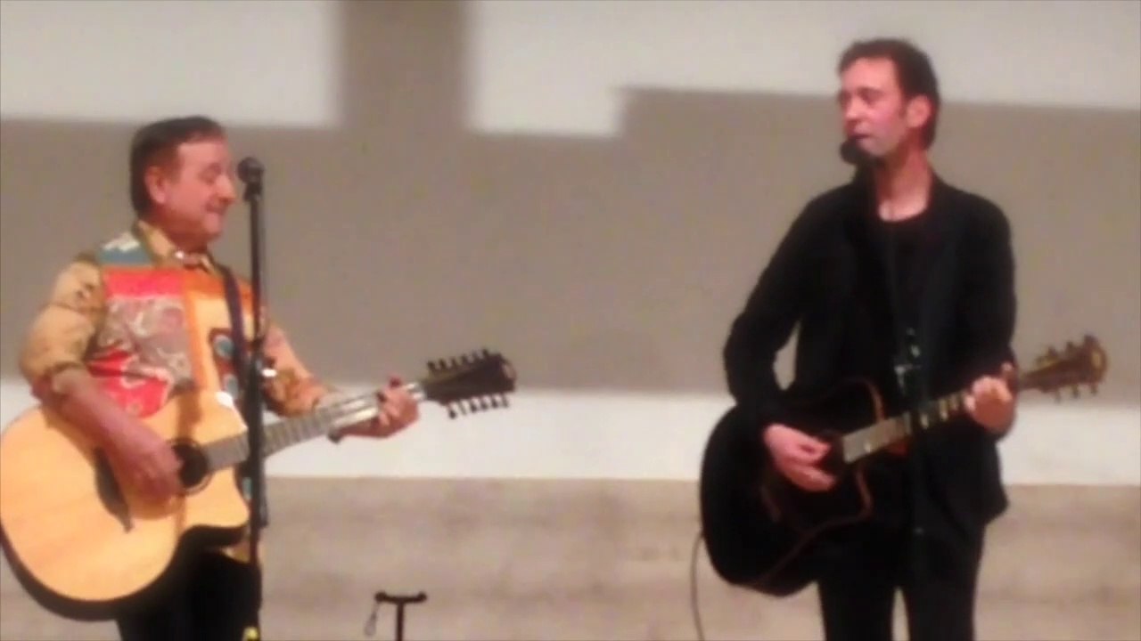 "Je suis un homme" (POLNAREFF) - Cover Vincent Prudhon