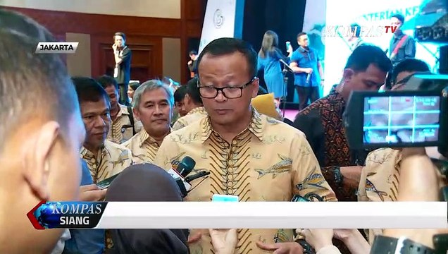 Wacana Akhiri Larangan Ekspor Benih Lobster Tuai Polemik