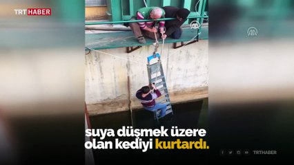 Cesur teknisyen yavru kediyi ölümden kurtardı