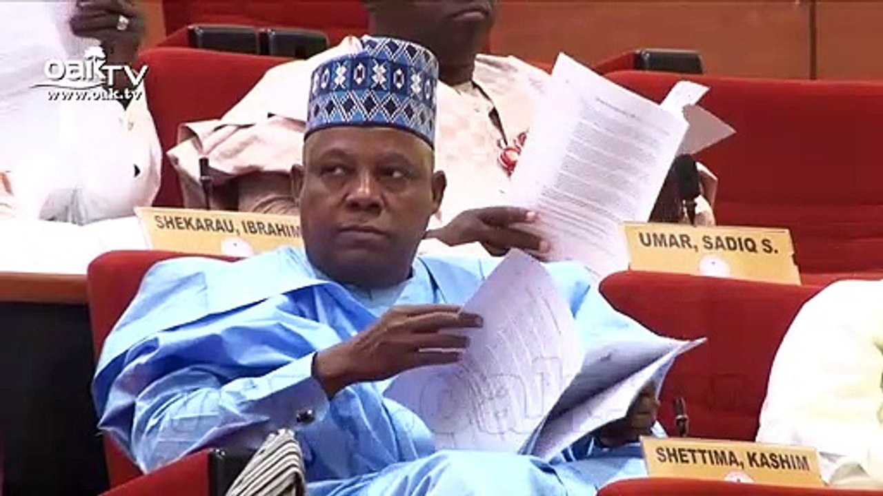 What Senate agreed on Sowore’s case