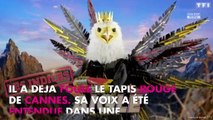 Mask Singer : qui se cache derrière l'aigle ? Le point sur les indices