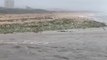 Des tonnes de plastiques s’échouent sur une plage d’Afrique du sud