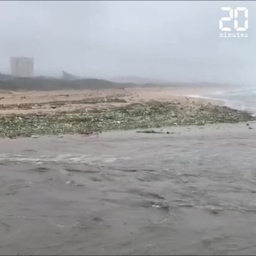 Des tonnes de plastiques s’échouent sur une plage d’Afrique du sud