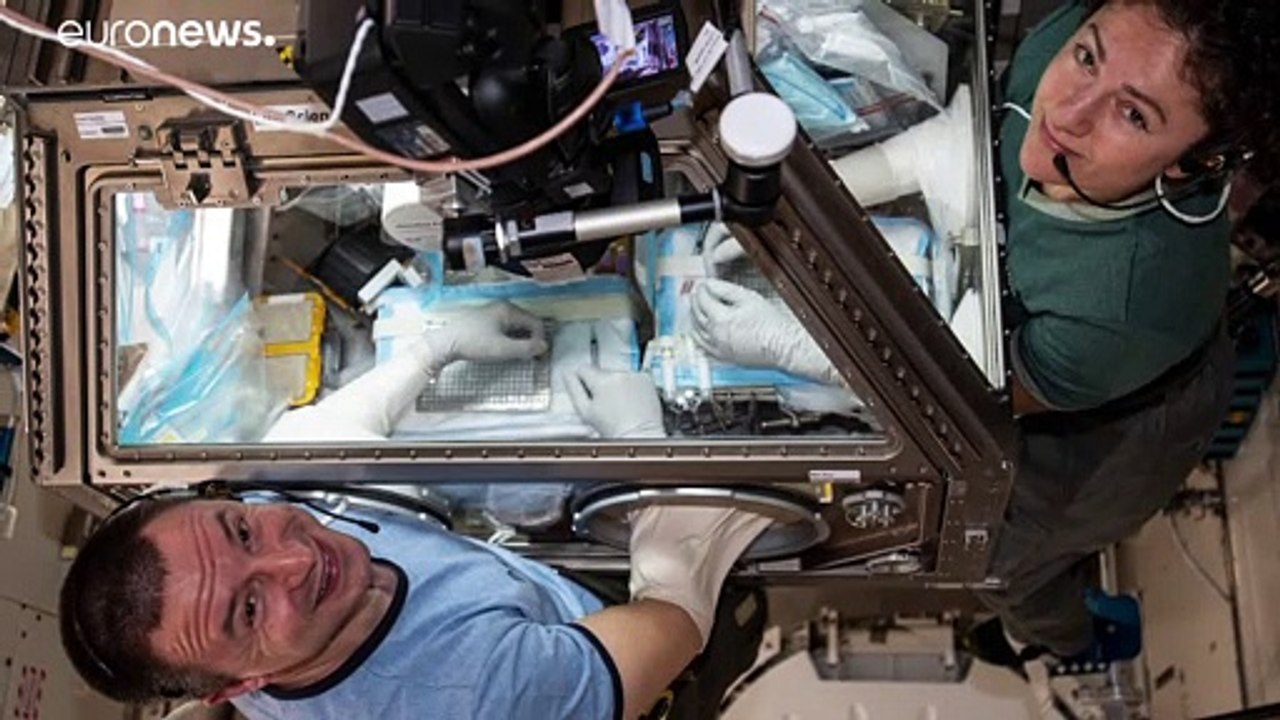 ISS-Astronauten über schwierigen Außenbordeinsatz: 'Lief reibungslos'