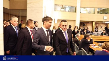 Conferenza Italia e Asia centrale