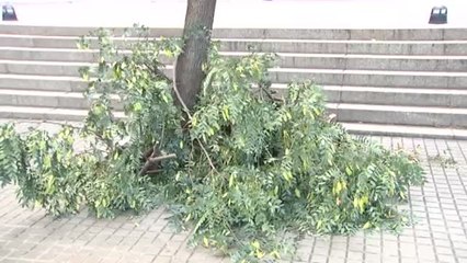 El viento obliga a cerrar parques en Madrid y Barcelona