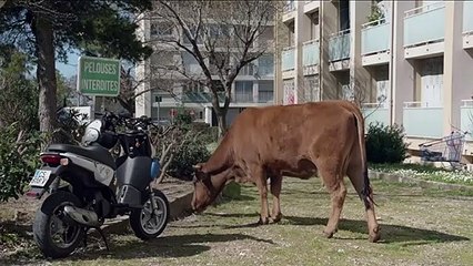 La Vache - Bande annonce officielle HD