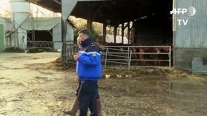 Les gendarmes coachent des agriculteurs face aux intrusions dans les exploitations