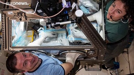 EVAs complexos e inovadores