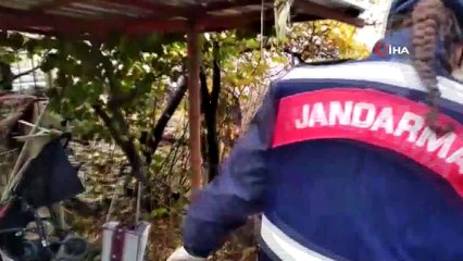 Burdur'da uyuşturucu operasyonu: 5 tutuklama