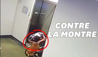 Ses réflexes ont sauvé ce petit chien d'un accident atroce