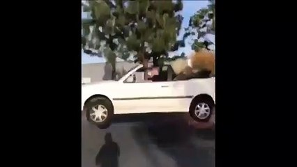 Il arrive bien trop vite sur un dos d'âne en voiture