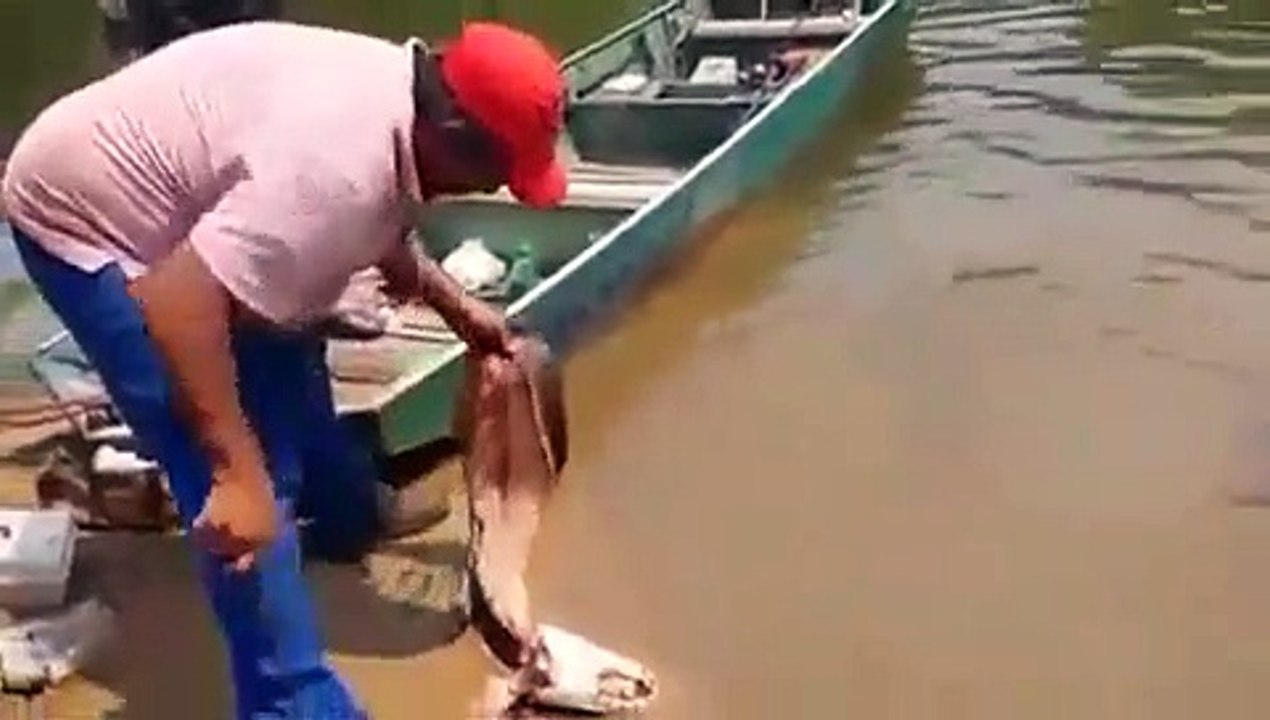 Il utilise un bout de viande pour voir si il y a des piranhas dans la rivière